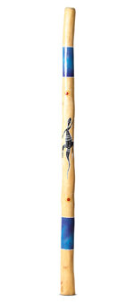 Nathan Falk Didgeridoo (PW365)